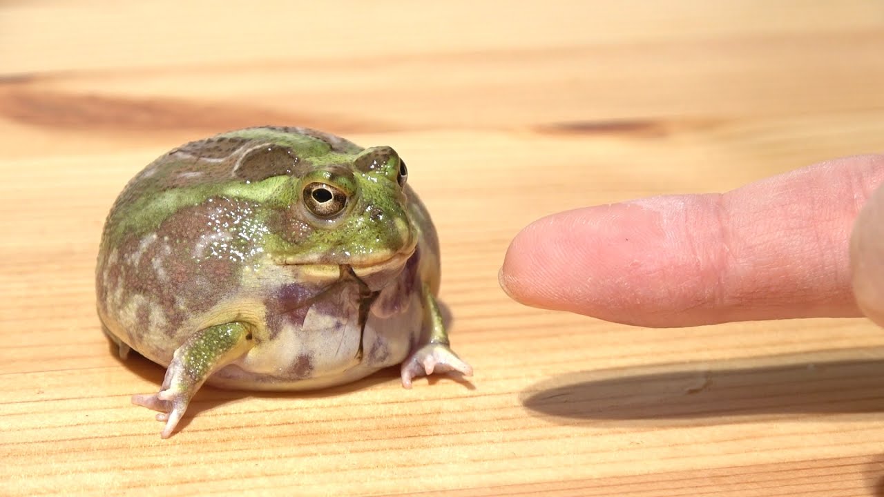 １ヶ月にたった
