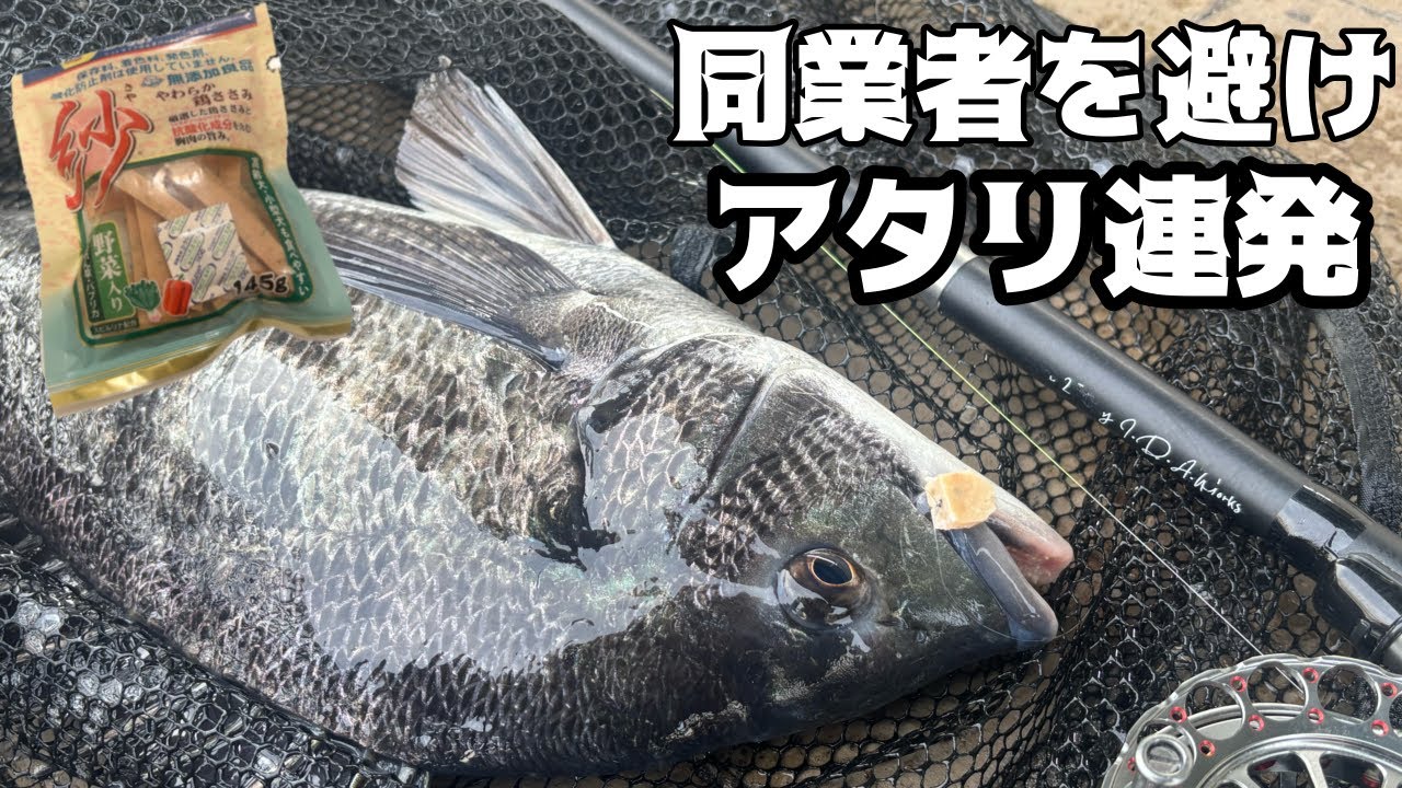 ヘチ釣り 隅田川 2026.02.14