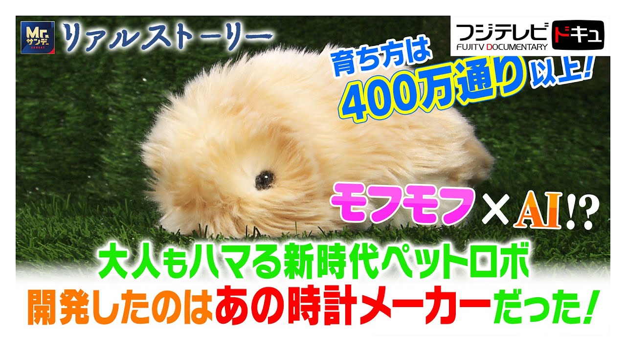 話題沸騰のモフリン！“何もできない”のに心を動かすAI ロボットが家族に…不思議な存在の秘密【Mr.サンデー】【リアルストーリー】