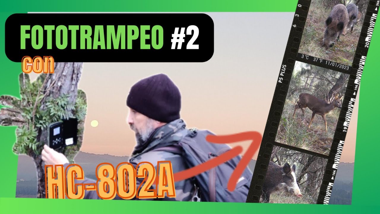 FOTOTRAMPEO #2 trailcamera HC 802A 🌄