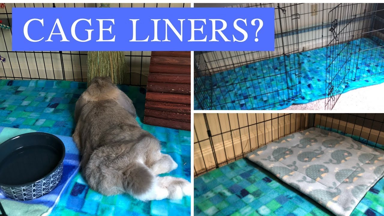 What to Line a Rabbit's Cage With : (THIS SAVED ME SO MUCH TIME!) : 3GirlsStitching