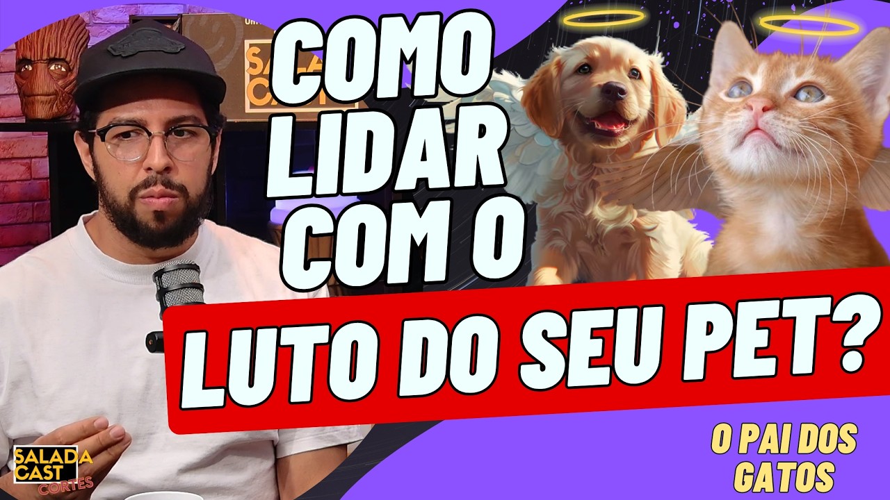 COMO LIDAR COM O LUTO DE UM PET? - O PAI DOS GATOS
