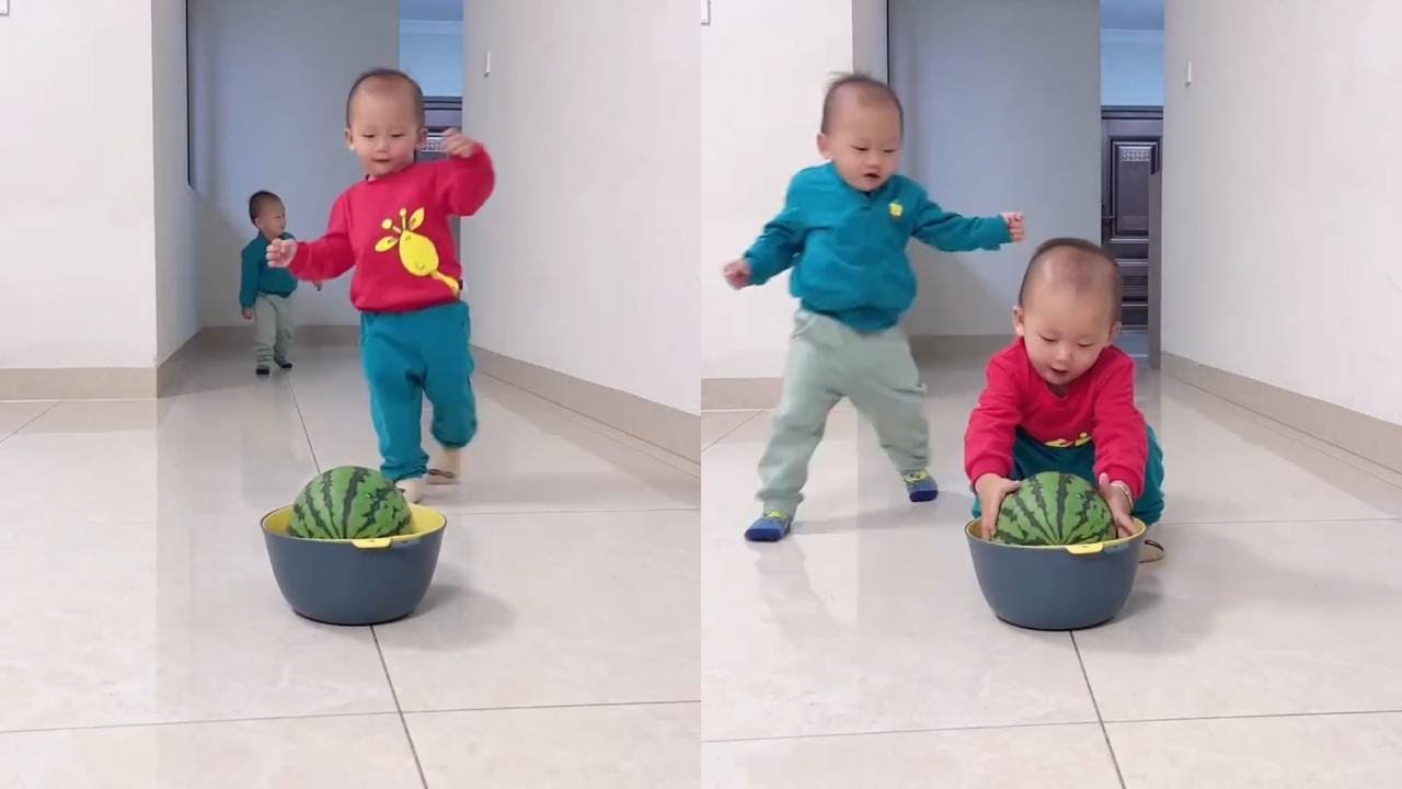 The twin brothers ran quite fast. Is the temptation of watermelon so great?【A Family of Five】