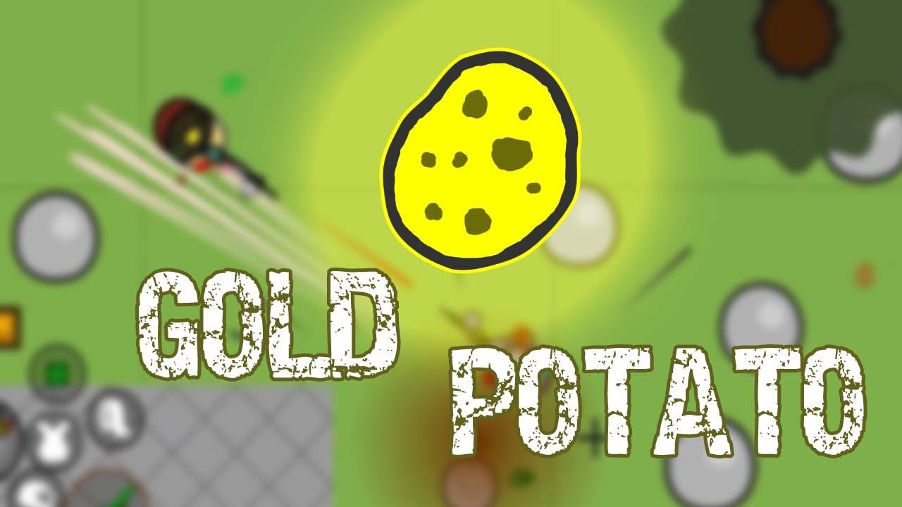 The *RARE* Gold Helmet in Potato Mode | Surviv.io