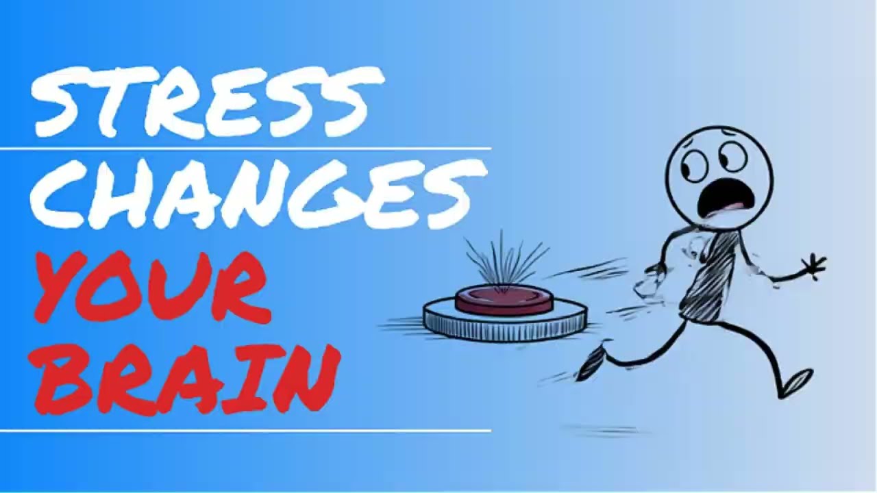 Chronic Stress Is Rewiring Your Brain (Here’s the Fix) #psychology #explained #brain #mentalhealth