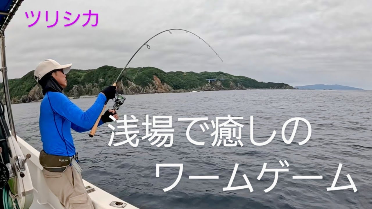癒しを求めて浅場のアカハタゲーム　　　　　ツリシカ