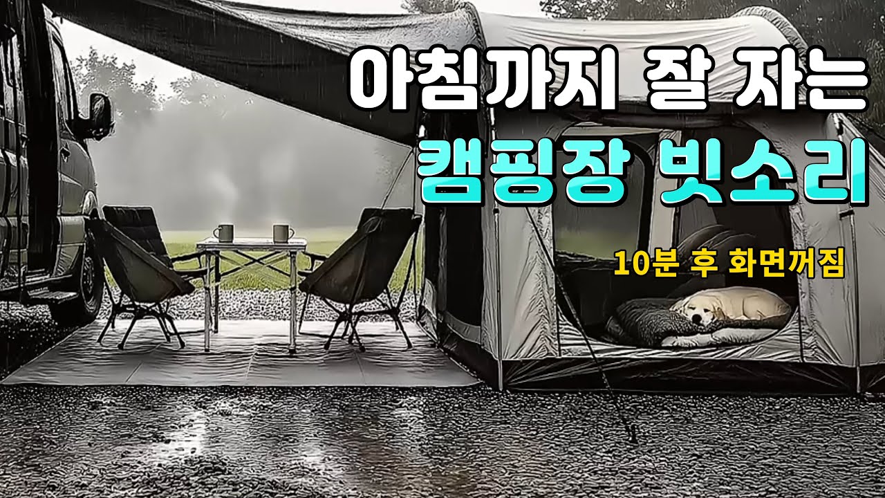 아침까지 잠들기 좋은 캠핑장 빗소리, 불면증 완화와 스트레스 해소 ASMR