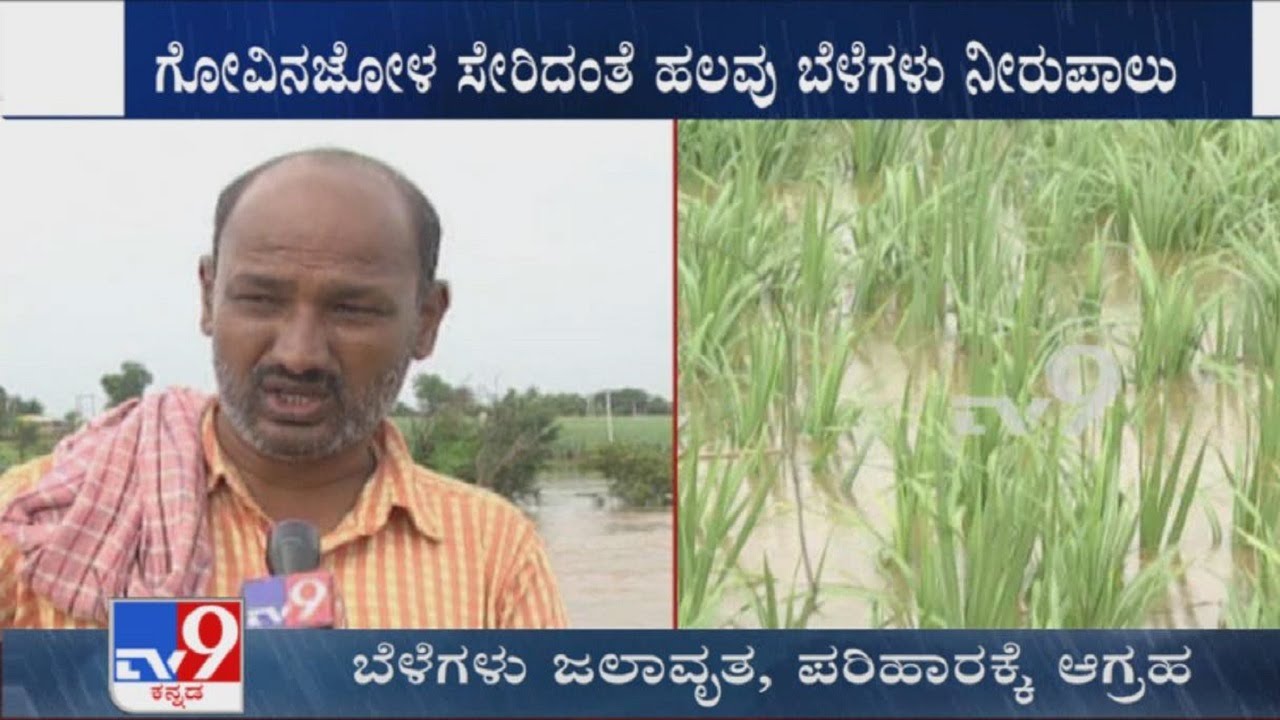 Farmers Ire Against district Admin over Delay In Crop Loss Compensation At Bagalkote