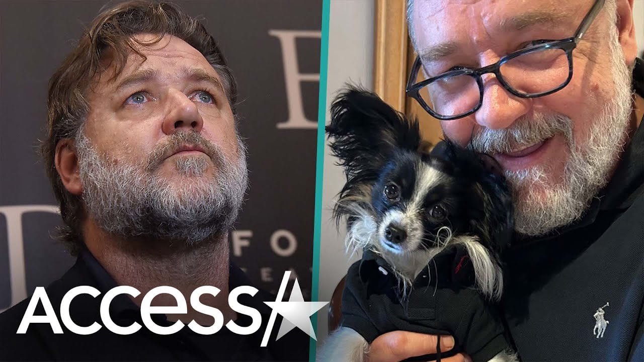 Russell Crowe's Beloved Dog Dies In His Arms