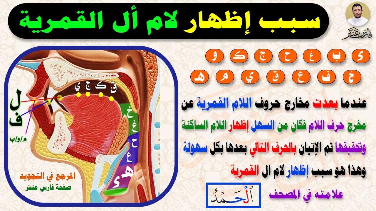 اللامات السواكن وأحوال لام التعريف الـ  اللام القمرية. دورة أحكام التجويد المتكاملة الدرس الحادي عشر
