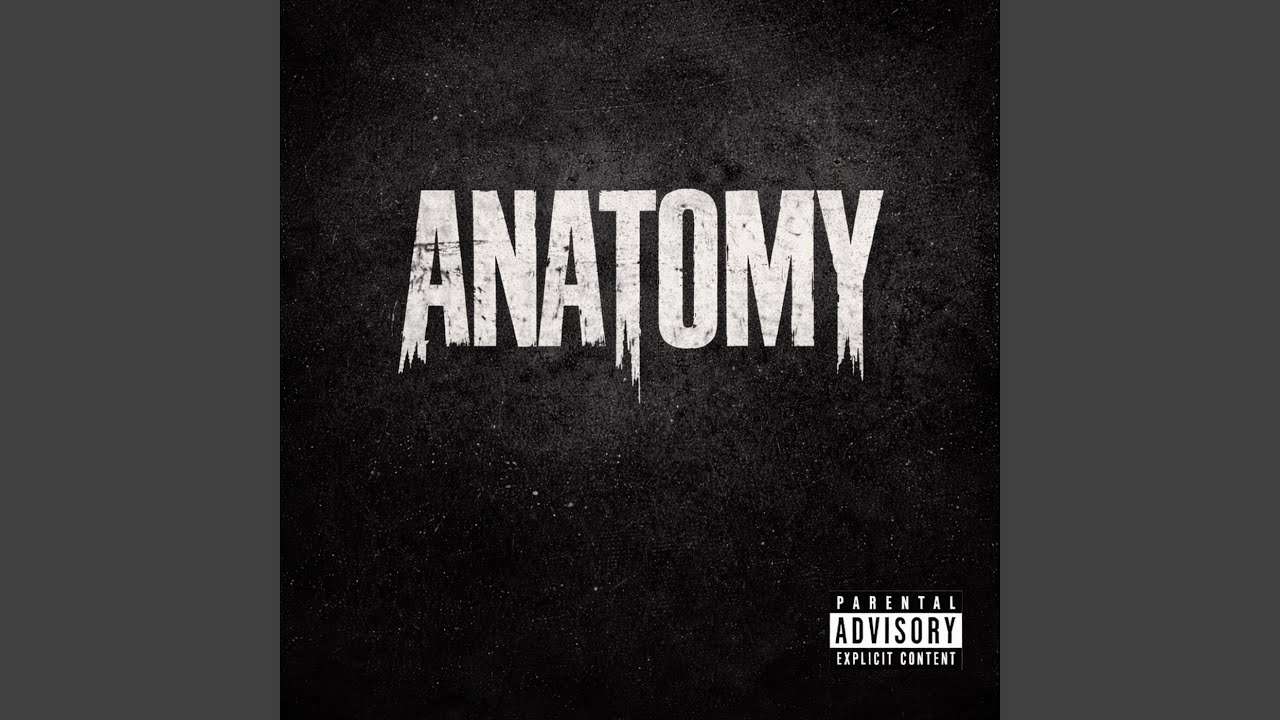 Anatomy