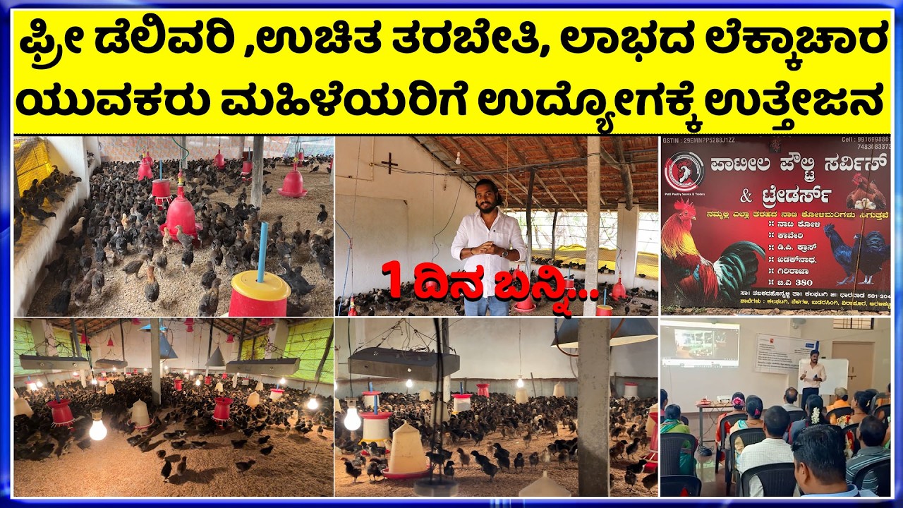 Call-74830 83373 ಕೋಳಿ ಸಾಕಾಣಿಕೆಯಲ್ಲಿ 8 ವರ್ಷದ ಅನುಭವ || ​Low Investment Business, Poultry Farming