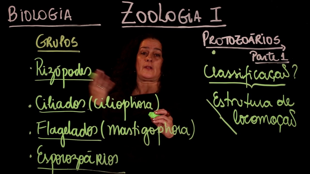 Aula 46 REINO PROTISTA parte 1 Protozoários - Aulas ENEM
