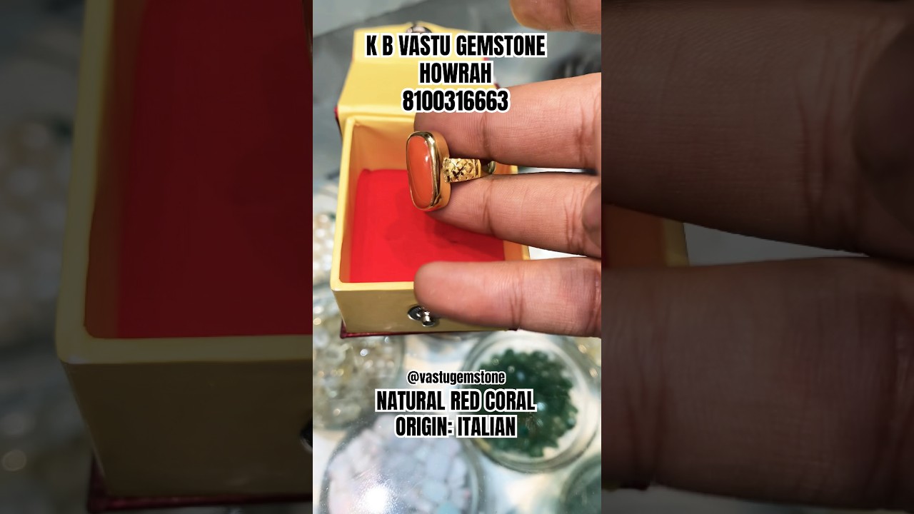 Now Get Natural Red Coral (Pola) With GSI Certificate For High Quality & Purity Of Us. 🪸 #gemstone