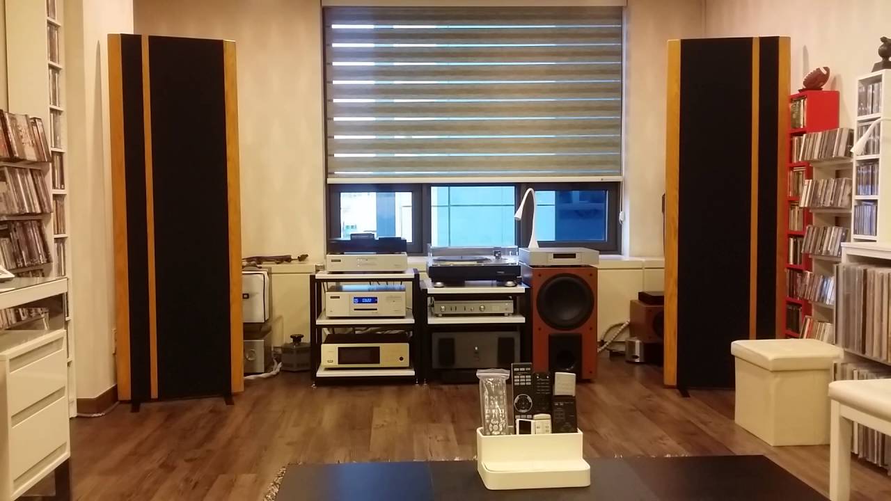 Magnepan meets EMM