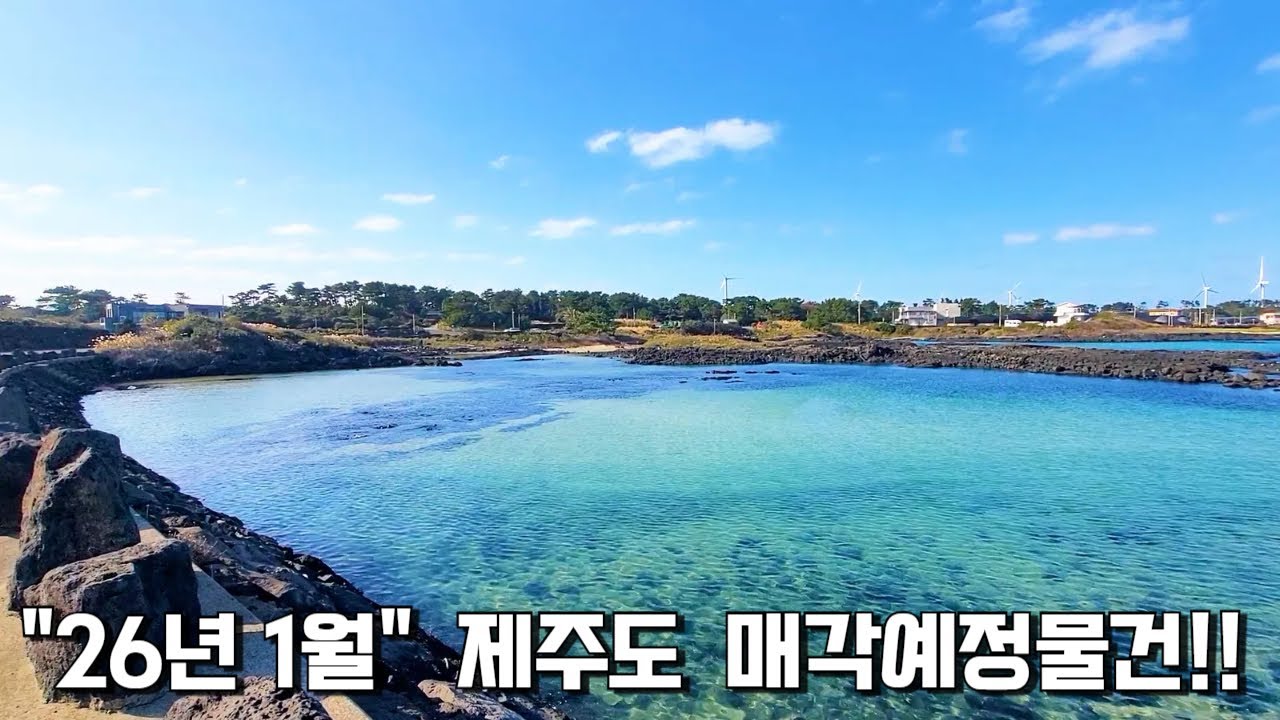 [제주도경매]  2026년 1월 매각예정물건 깔끔정리!!