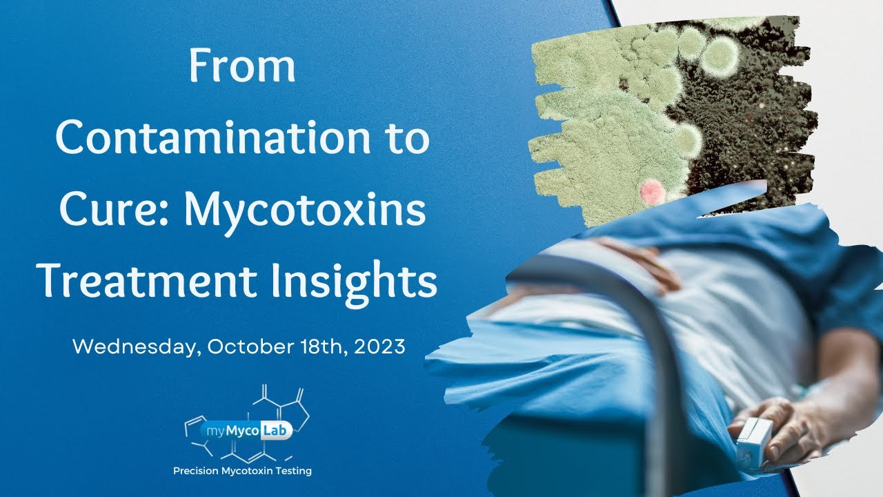 From Contamination to Cure: Mycotoxin Treatment Insights