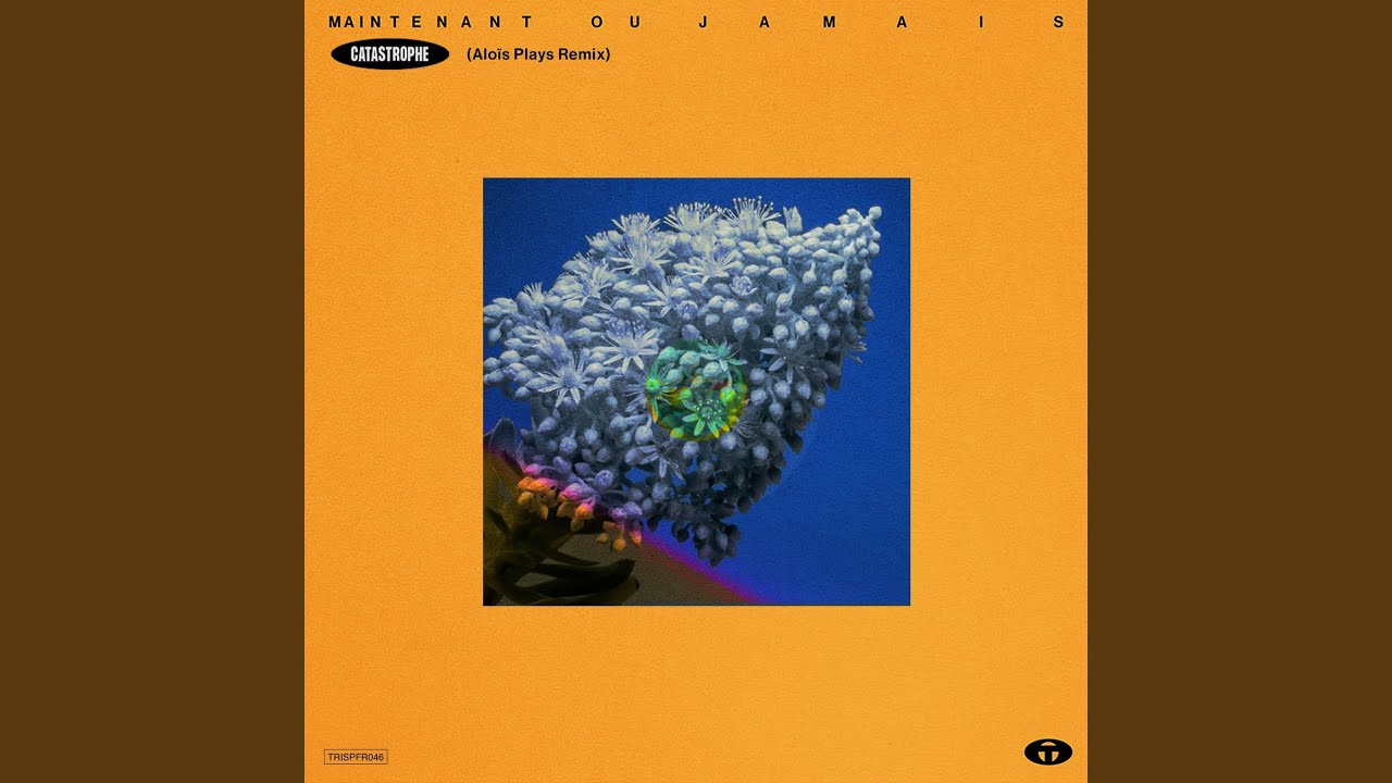 Maintenant ou jamais (Aloïs Plays Remix)