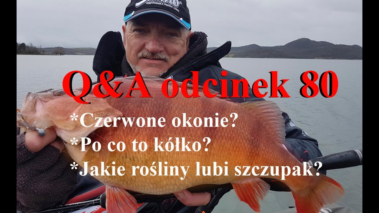 Q&A odcinek 80 - czerwony kolor u ryb, kółka łącznikowe, szczupakowe ziele i NOWOŚCI SALMO