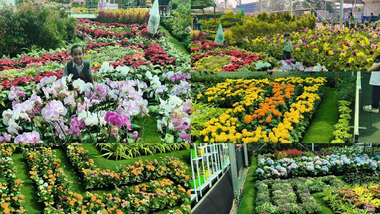 Kannur flower show🌹🏵️🌼🌻🪻🌷#family vlog#trending#viral video