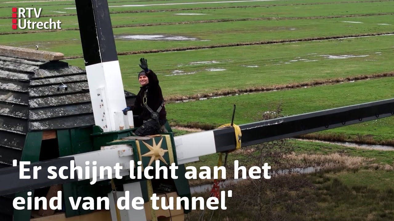 Slechte wieken en knagende kevers, molens in Utrecht hebben het moeilijk | RTV Utrecht