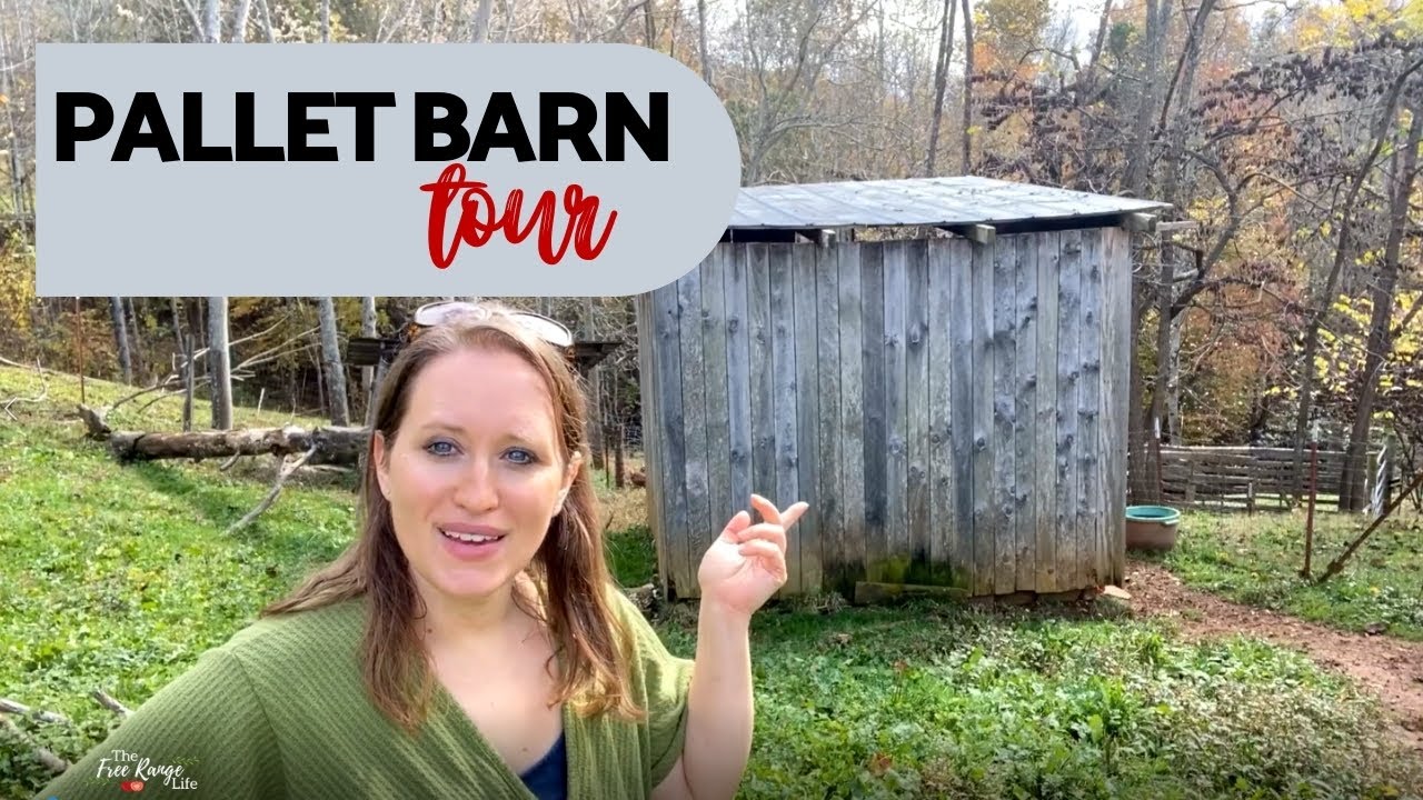 Recycled Wood Pallet Barn Tour
