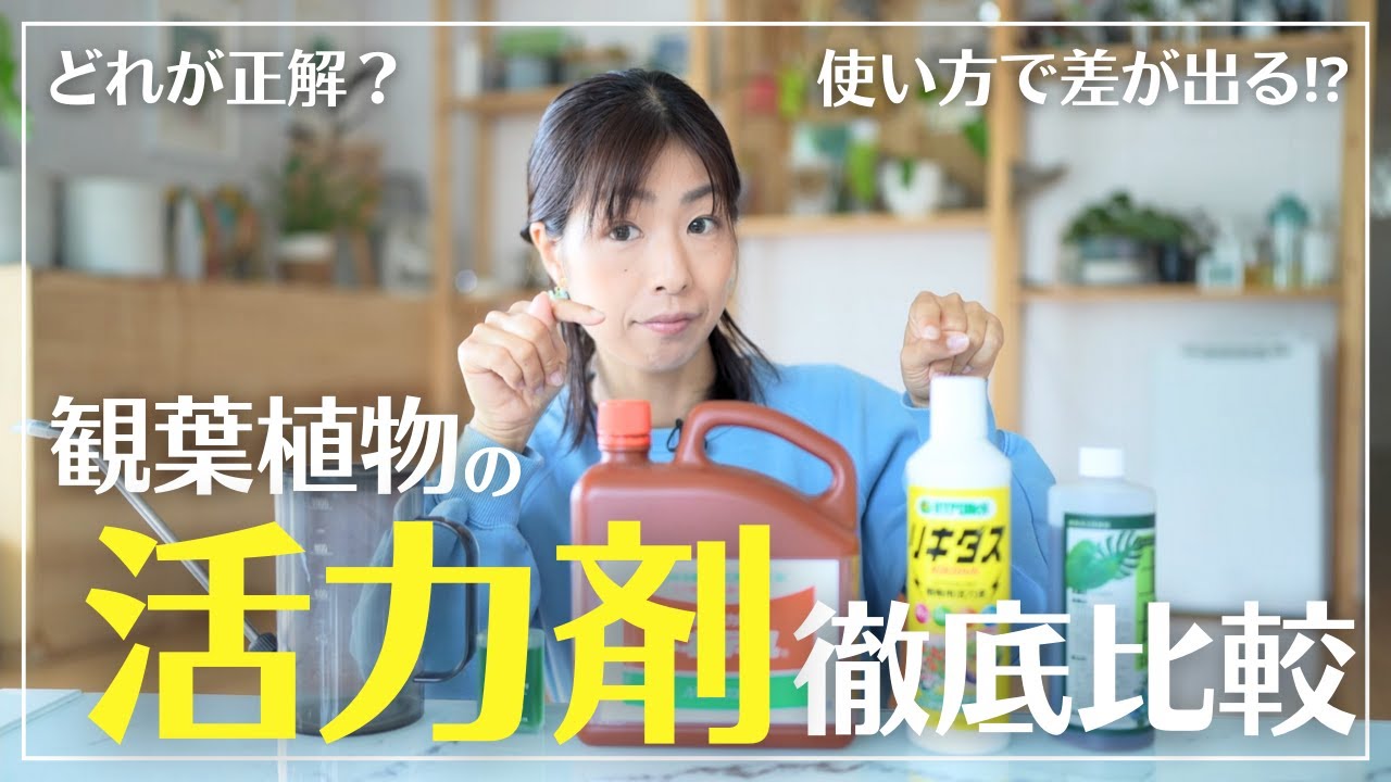 【あなたに合った選び方がわかる】本音で解説！活力剤の選び方