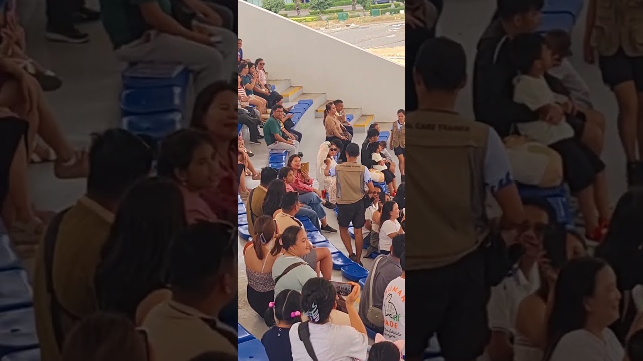 Bird Show 