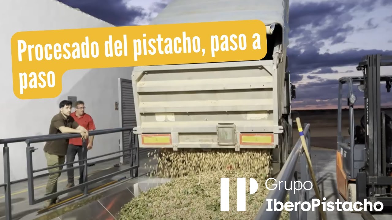 Planta de Procesado Grupo IberoPistacho: As&iacute; Convertimos el Pistacho en un Producto Premium