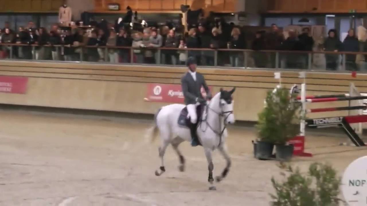 Equitation C S O Pro1 ( 140) - Deauville Pôle  International du Cheval