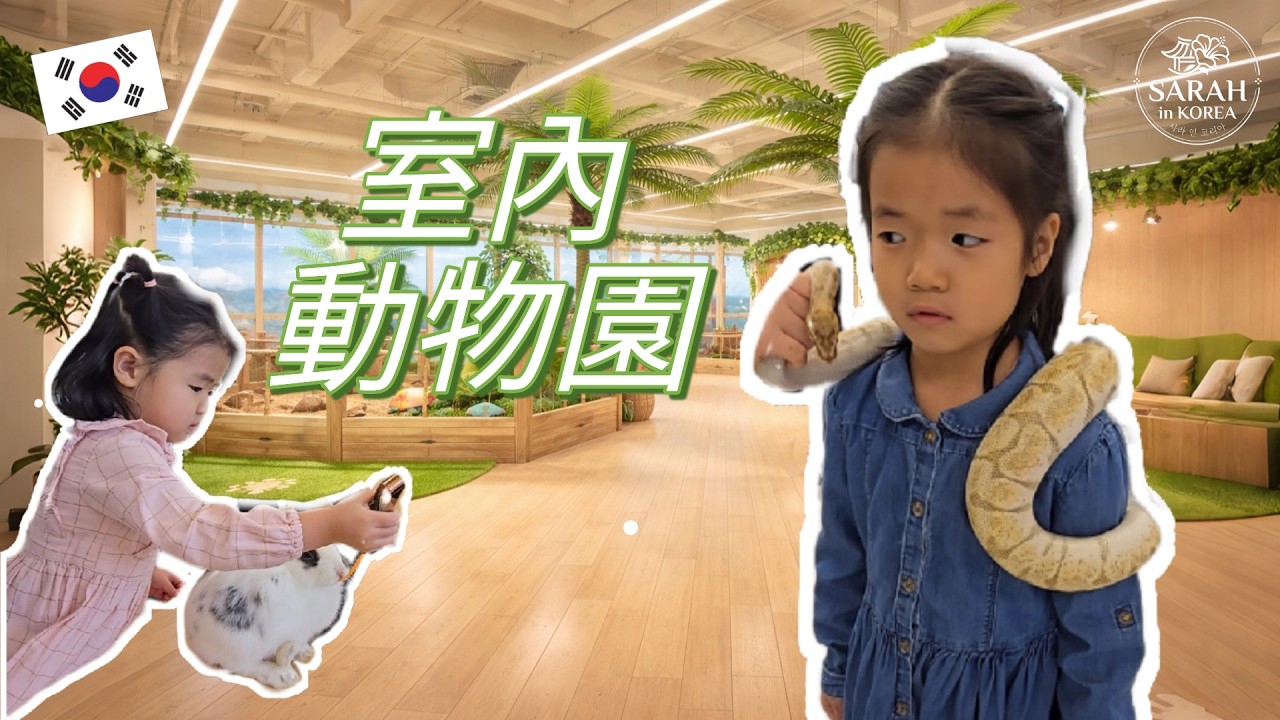 2026-02-01 | 韓國仁川延壽區松島《Animal Club》室內動物園 | 한국 인천 연수구 송도 애니멀클럽【Full Vision】