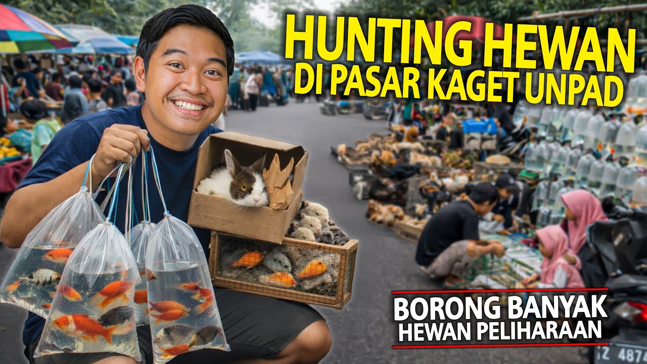 HUNTING HEWAN DI PASAR KAGET UNPAD! BORONG BANYAK HEWAN PELIHARAAN!