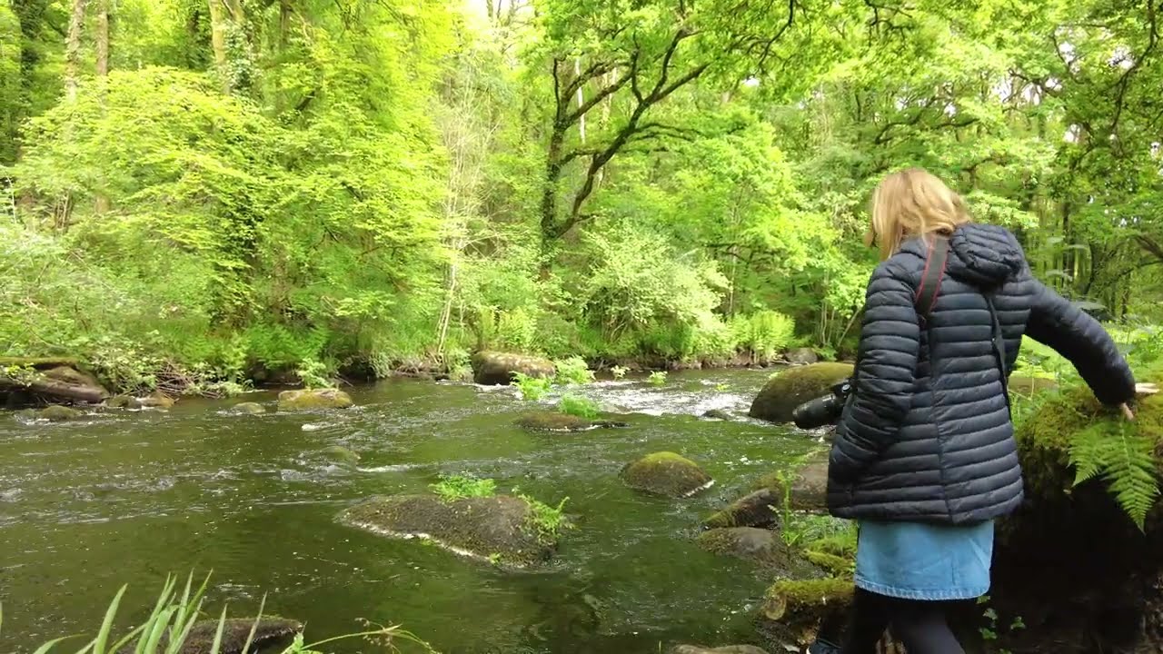 Walking Along The River Ellé, 56320 Le Faouët, Morbihan, Brittany, France 8th May 2025