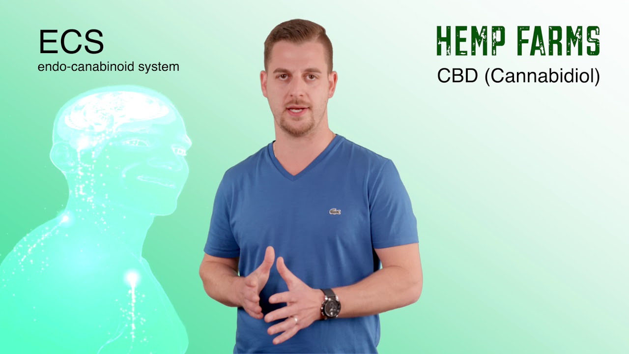 What is CBD?! Where does CBD come from? What does CBD do???
