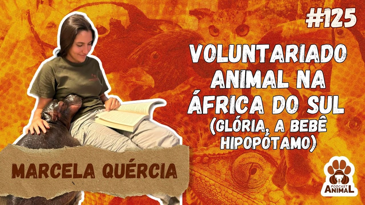 Voluntariado Vet na &Aacute;frica do Sul (Gl&oacute;ria beb&ecirc; hipop&oacute;tamo) com Marcela Qu&eacute;rcia (EP 125 temporada 2)