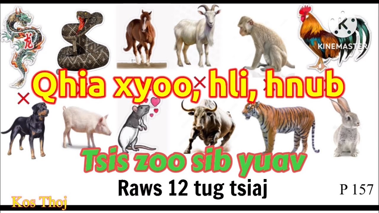 Qhia xyoo, hli thiab hnub tsis zoo sib yuav raws 12 tug tsiaj