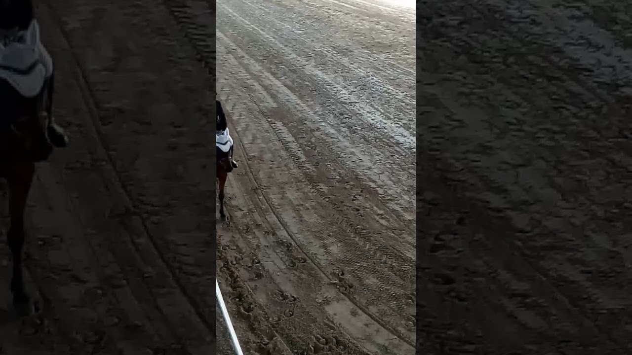 Dressage - Campionati Regionali Piemontesi E60