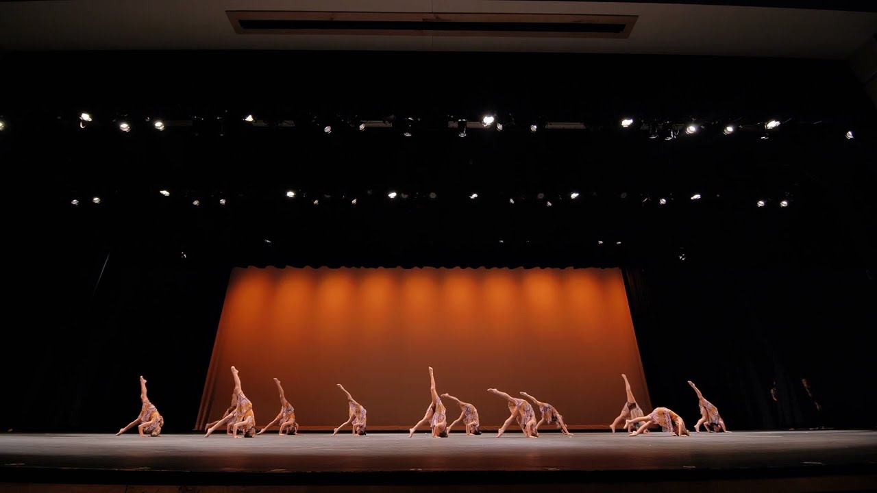 Beginner Acro Group Dance | LION KING