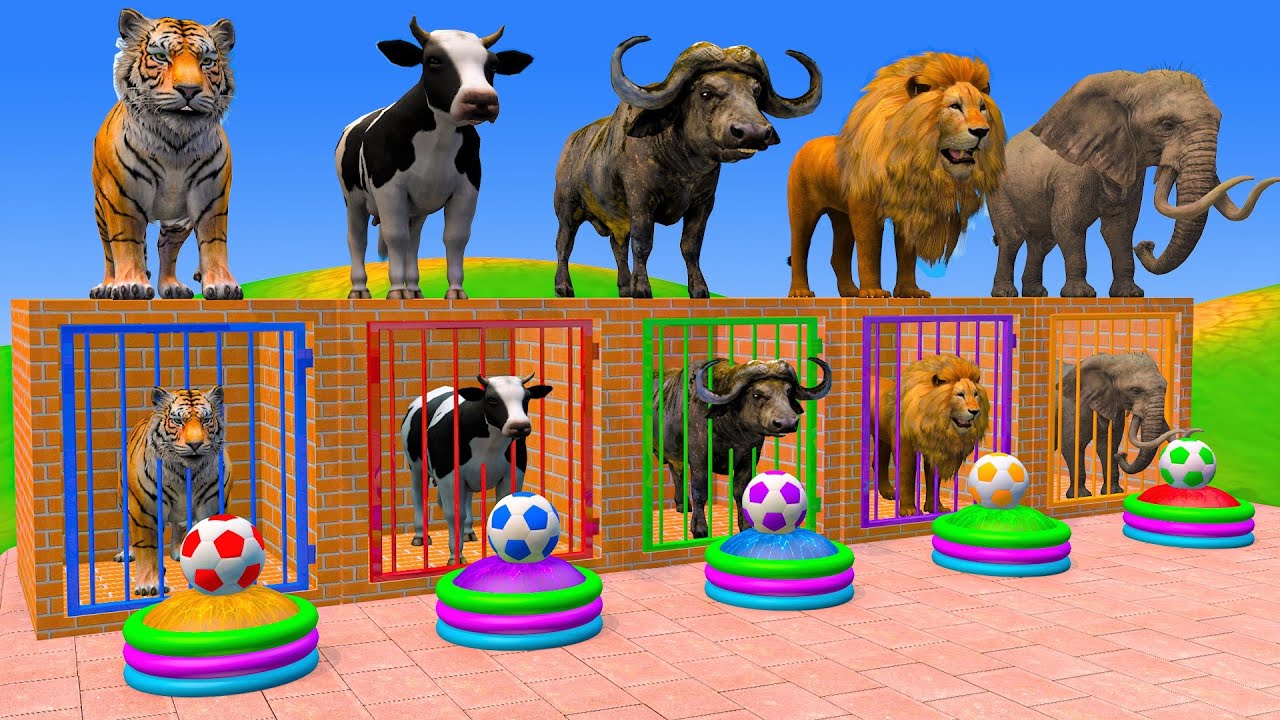 Long Slide Game With Cow Elephant Gorilla Hippopotamus Tiger - 3d Animal Game - Funny 3d Animals