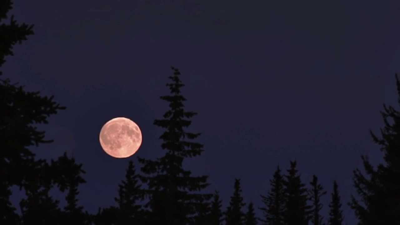 Moonrise by Sharon Gerber