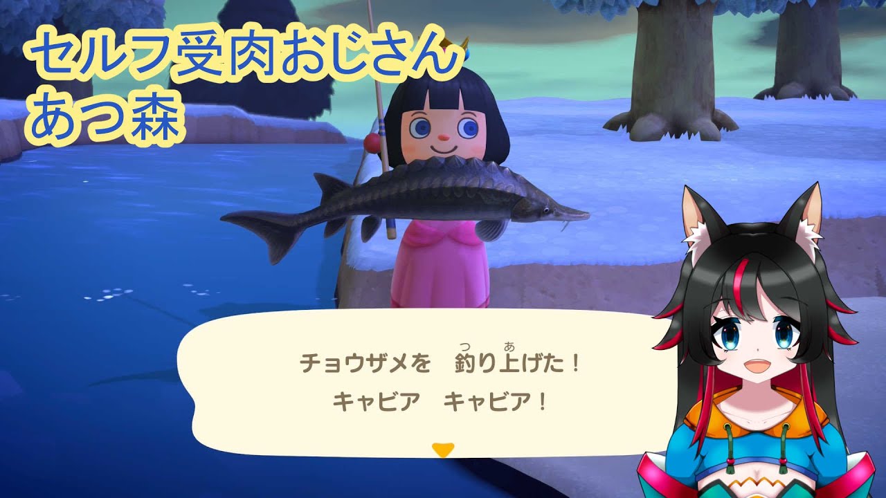 あつ森03回今日の続き　#はっふみ