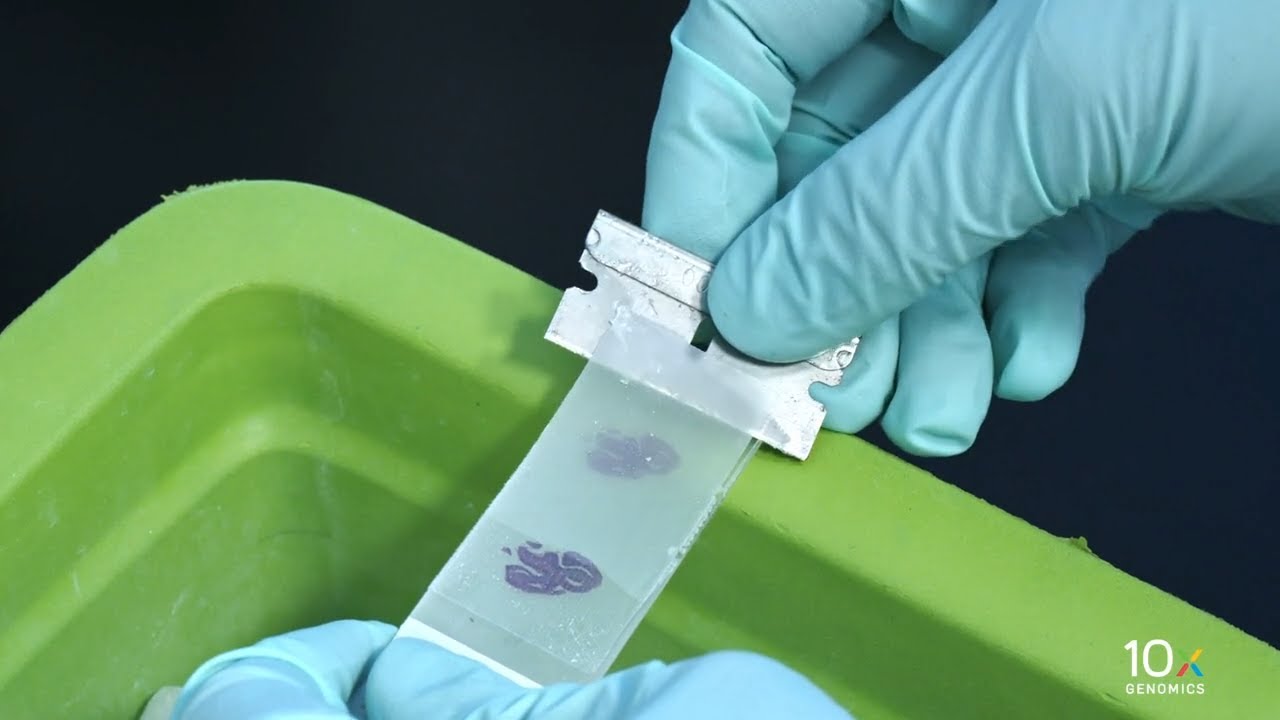 Visium CytAssist Tissue Preparation Guide | Coverslip Removal and RNA Assessment for Archived Slides