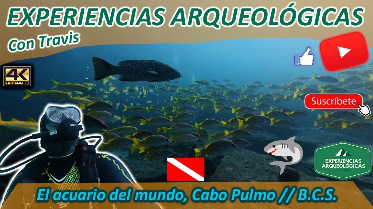 El acuario del mundo, Cabo Pulmo // B.C.S.