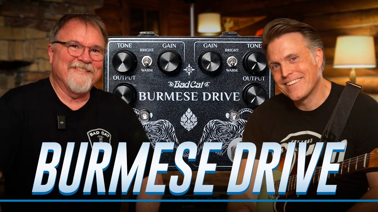 НОВЫЙ High-Gain Monster от Bad Cat | Звуковой тест педали Burmese Drive