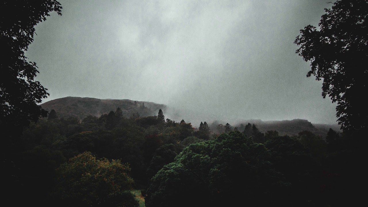 Rain Jungle Sounds for Relaxation, Sleep, & Meditation - 1 Hour