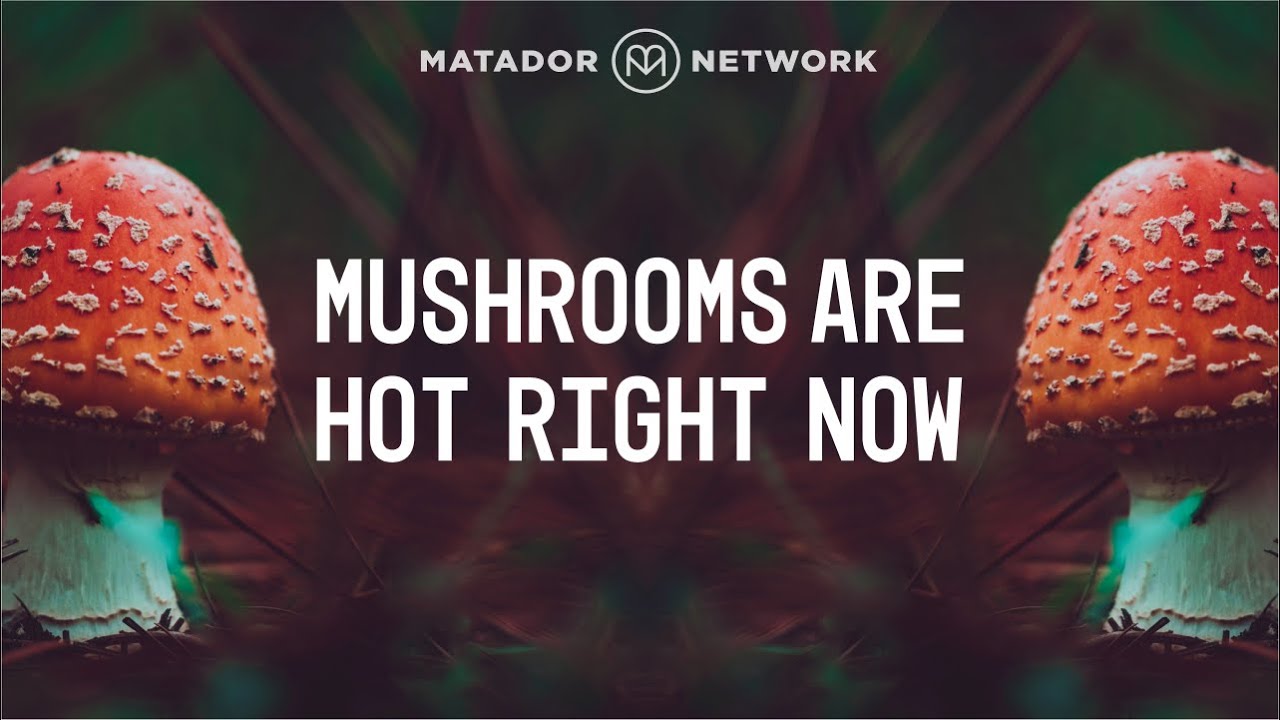 Mushrooms Are Hot Right Now