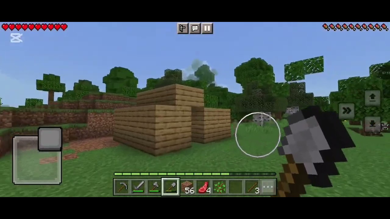 სურვიალი 1#survival 