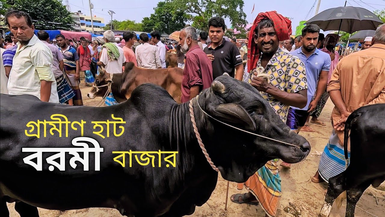 বাংলাদেশের সবচেয়ে বড় গ্রামীণ হাট বরমী বাজার | Bangladesh's largest rural market | Barmi Bazar