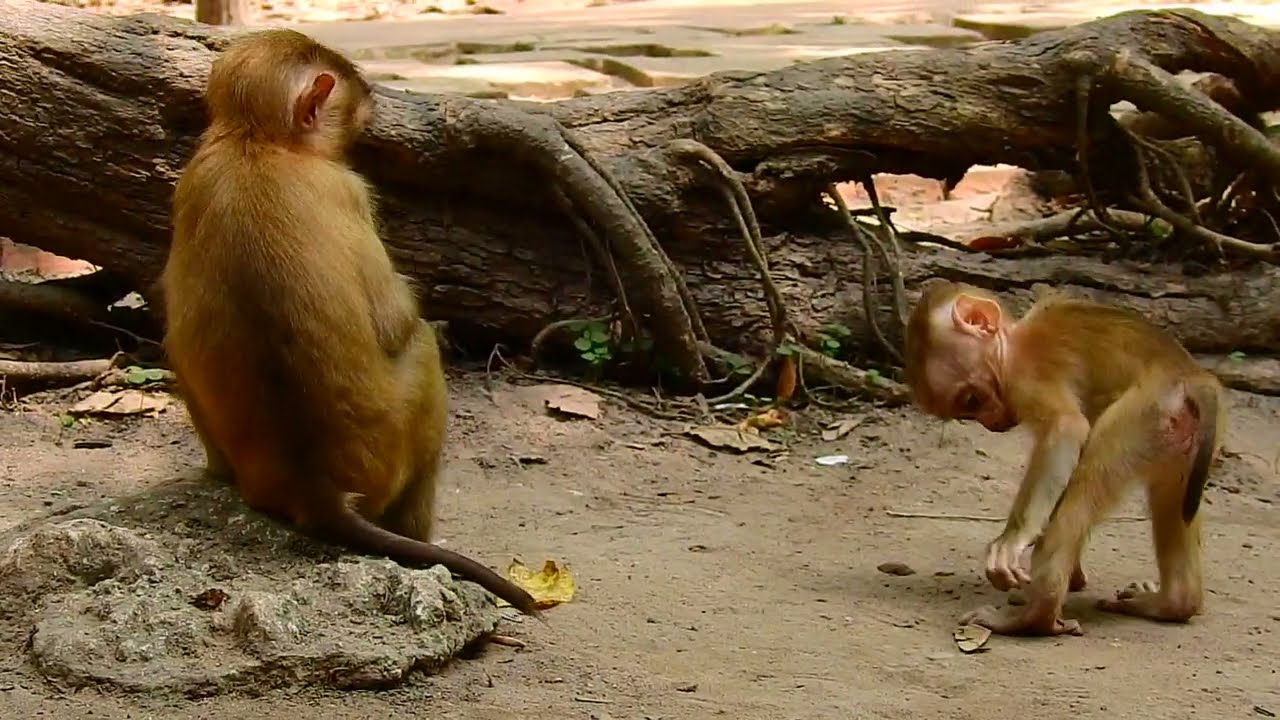 Mother take care baby every day