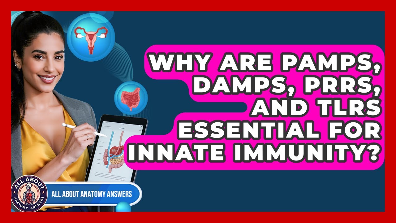 Why Are PAMPs, DAMPs, PRRs, And TLRs Essential For Innate Immunity? - All About Anatomy Answers